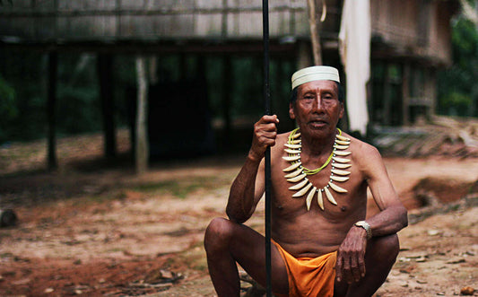 Supporting Indigenous Tribes: Why It Matters